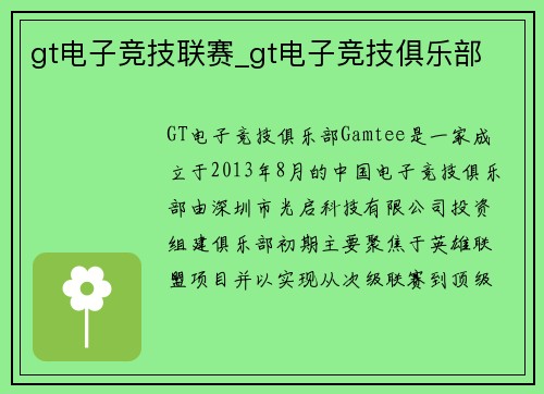gt电子竞技联赛_gt电子竞技俱乐部