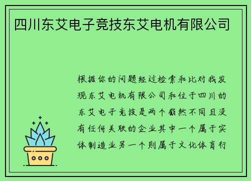 四川东艾电子竞技东艾电机有限公司