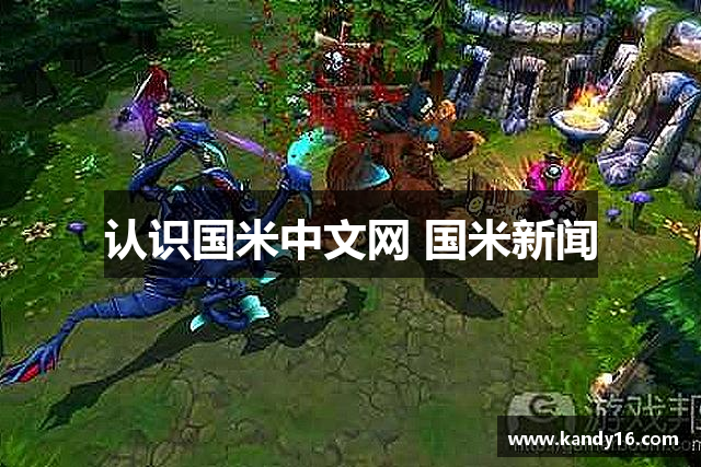 认识国米中文网 国米新闻